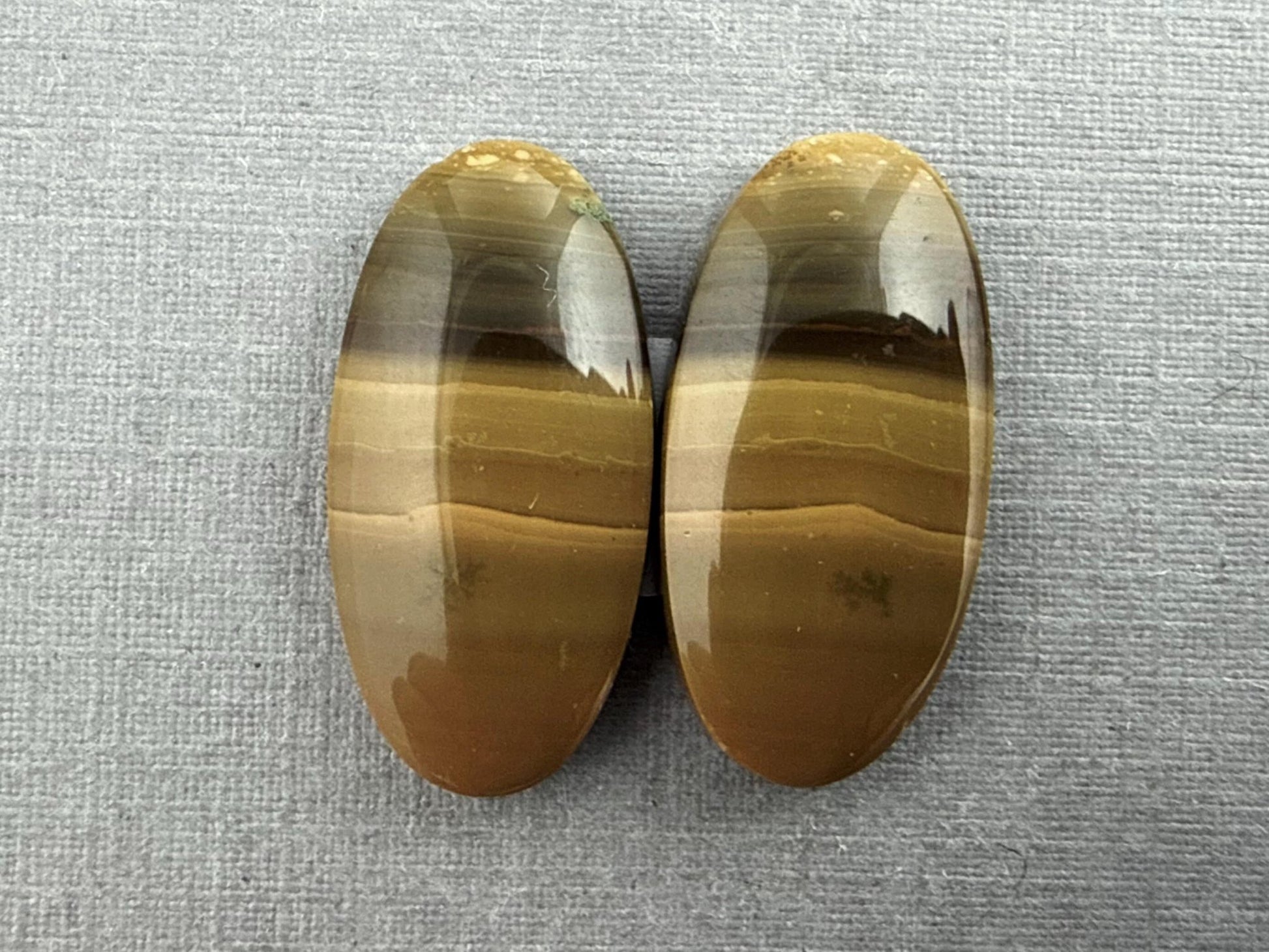 Oregon Blue Mountain Jasper Pair | Mined in the USA | JS327 - Gem Enthusiast