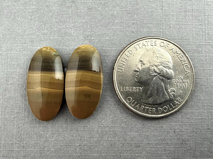 Oregon Blue Mountain Jasper Pair | Mined in the USA | JS327 - Gem Enthusiast