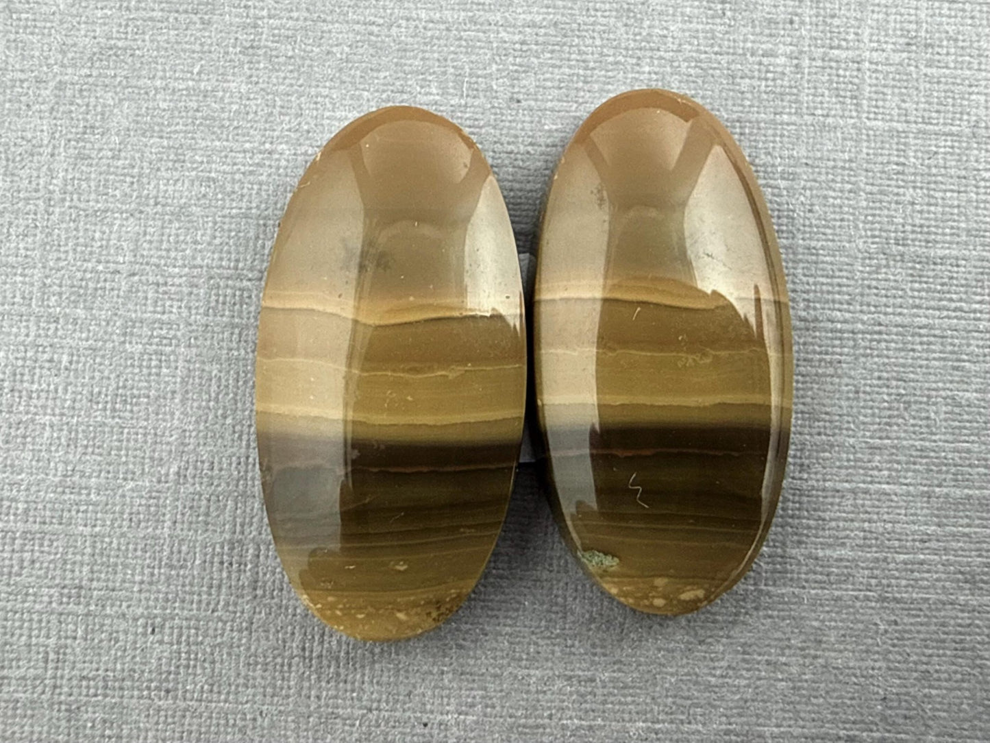 Oregon Blue Mountain Jasper Pair | Mined in the USA | JS327 - Gem Enthusiast