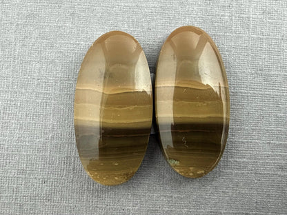 Oregon Blue Mountain Jasper Pair | Mined in the USA | JS327 - Gem Enthusiast