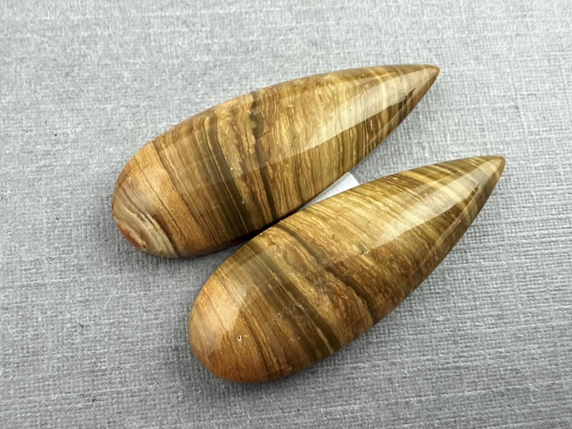 Oregon Blue Mountain Jasper Pair | Mined in the USA | JS328 - Gem Enthusiast