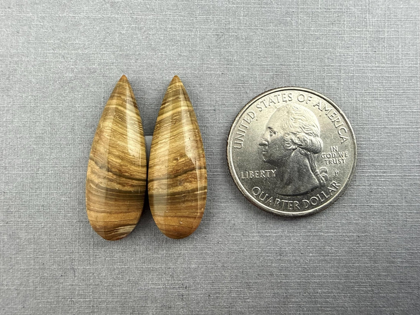 Oregon Blue Mountain Jasper Pair | Mined in the USA | JS328 - Gem Enthusiast