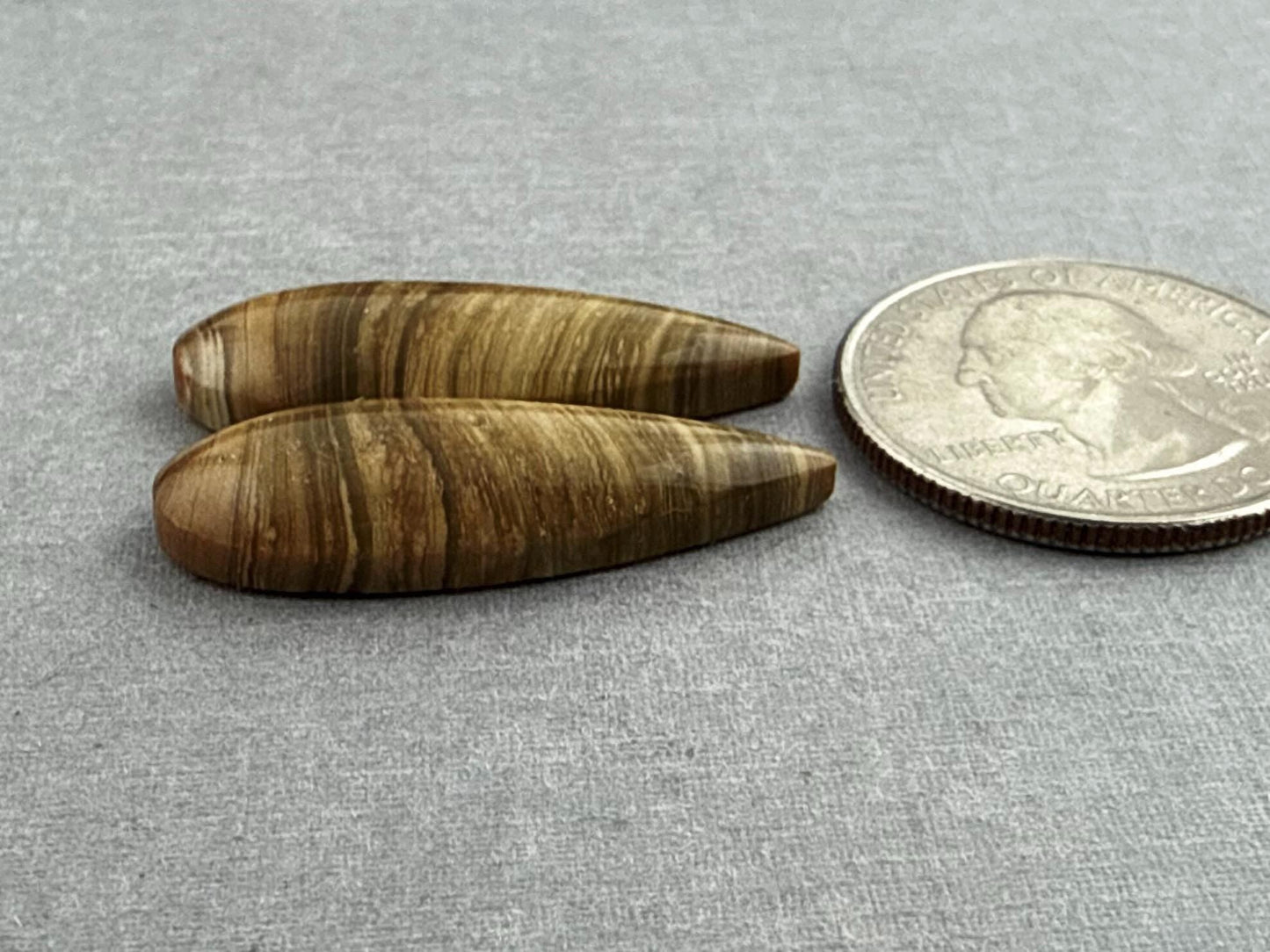 Oregon Blue Mountain Jasper Pair | Mined in the USA | JS328 - Gem Enthusiast