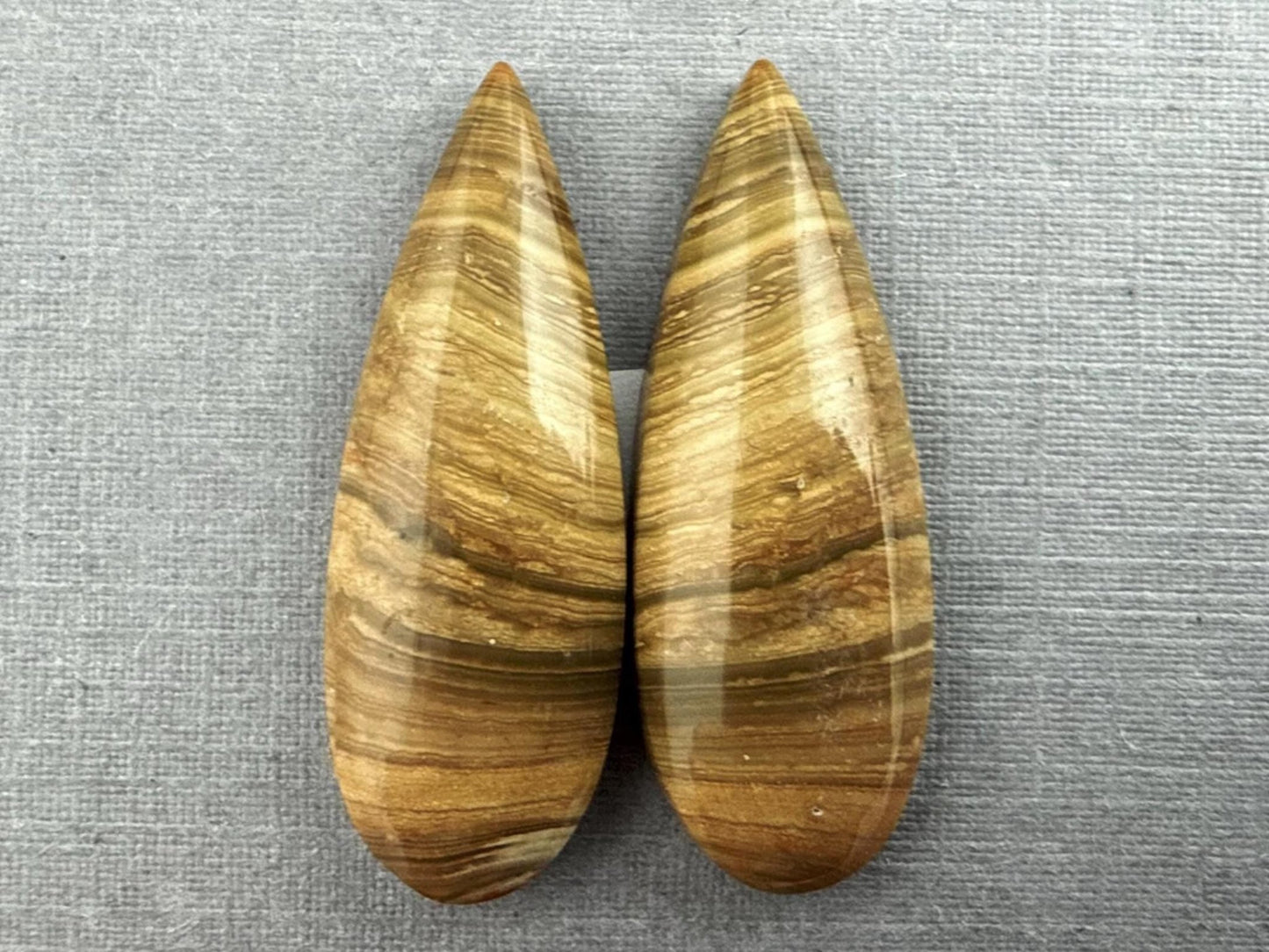 Oregon Blue Mountain Jasper Pair | Mined in the USA | JS328 - Gem Enthusiast