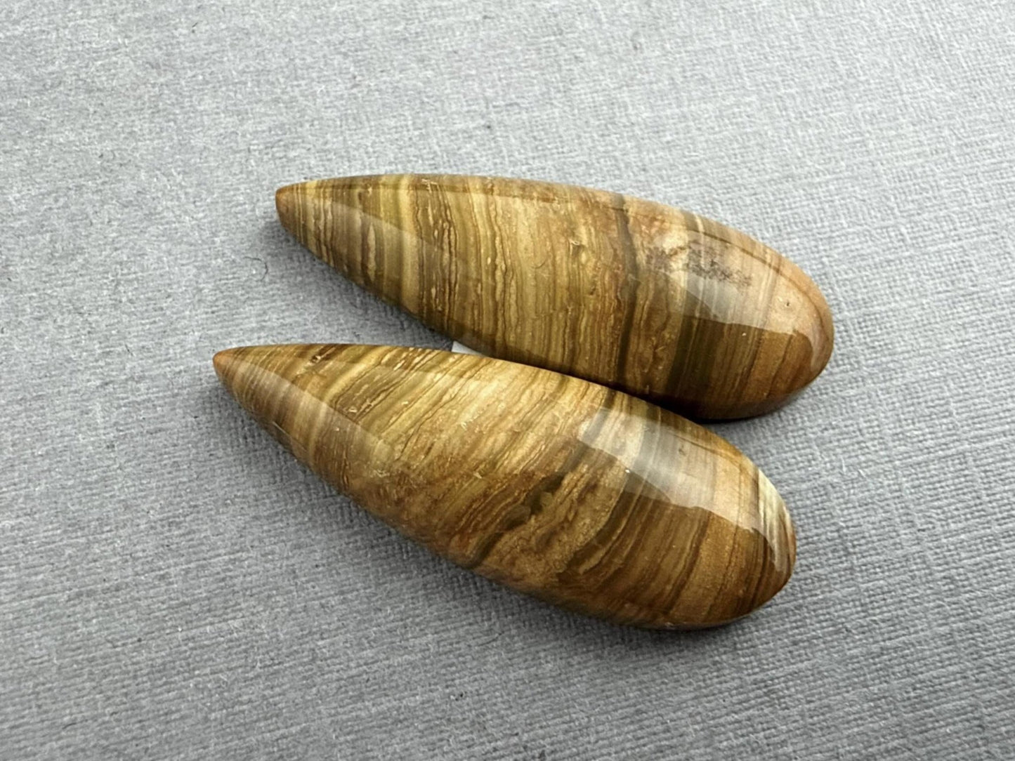 Oregon Blue Mountain Jasper Pair | Mined in the USA | JS328 - Gem Enthusiast