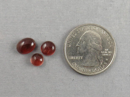 Oregon Sunstone Cabochon Set | 4.57ct | 3 - Stone Lot | Oregon USA | OSC341 - Gem Enthusiast