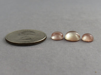 Oregon Sunstones Cabochon Set | 7mm pair and 9mm single Round Gemstones | 5.7 carats | OSC331 - Gem Enthusiast