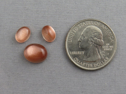 Oregon Sunstones Oval Cabochon Set | 8x6 pair and 11x9 single | 7 carats | OSC330 - Gem Enthusiast
