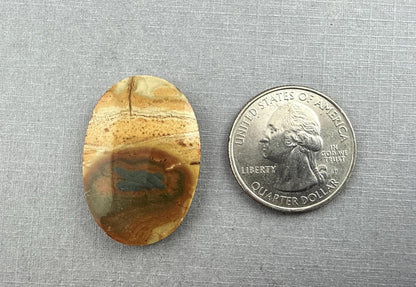 Owyhee Picture Jasper Cabochon | Oregon Idaho Gemstone | Mined in the USA | JS310 - Gem Enthusiast