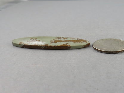 Owyhee Picture Jasper Cabochon | Oregon Idaho Gemstone | Mined in the USA | JS359 - Gem Enthusiast