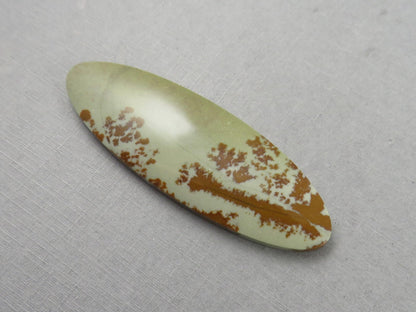 Owyhee Picture Jasper Cabochon | Oregon Idaho Gemstone | Mined in the USA | JS359 - Gem Enthusiast
