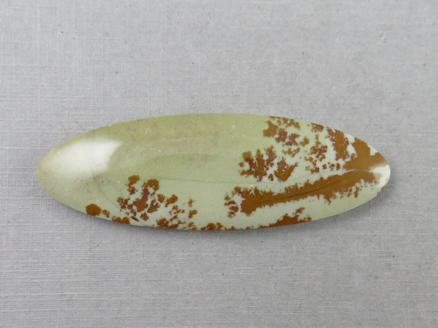 Owyhee Picture Jasper Cabochon | Oregon Idaho Gemstone | Mined in the USA | JS359 - Gem Enthusiast