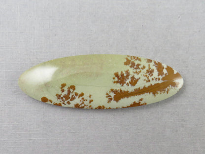 Owyhee Picture Jasper Cabochon | Oregon Idaho Gemstone | Mined in the USA | JS359 - Gem Enthusiast