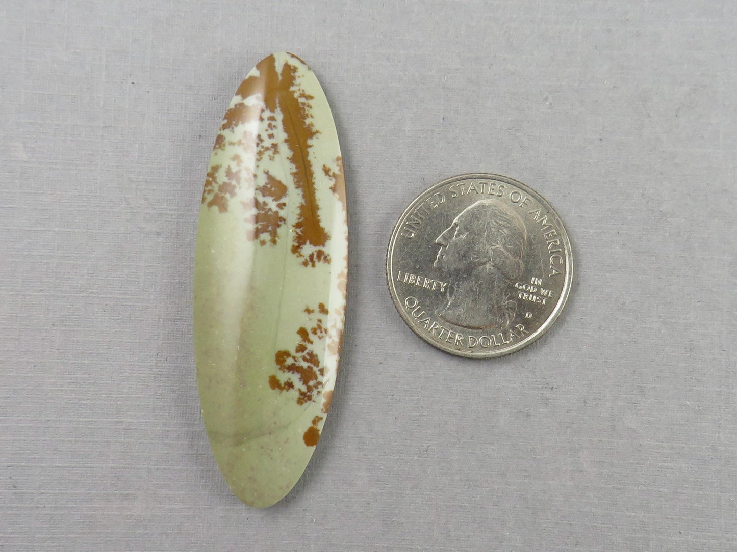 Owyhee Picture Jasper Cabochon | Oregon Idaho Gemstone | Mined in the USA | JS359 - Gem Enthusiast