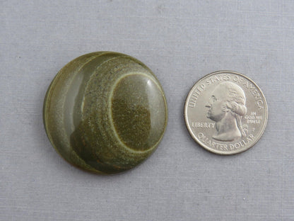 Owyhee Picture Jasper Cabochon | Oregon Idaho Gemstone | Mined in the USA | JS366 - Gem Enthusiast