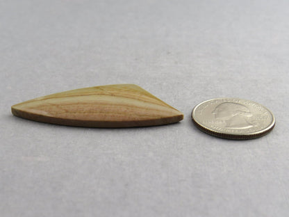 Owyhee Picture Jasper Cabochon | Oregon Idaho Gemstone | Mined in the USA | JS367 - Gem Enthusiast