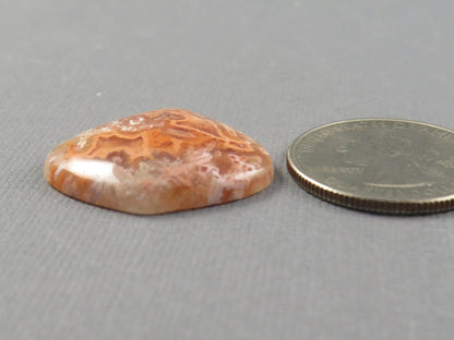 Peach Crazy Lace Agate Cabochon | 26x26.5mm, 22ct | Indonesia | AG396 - Gem Enthusiast