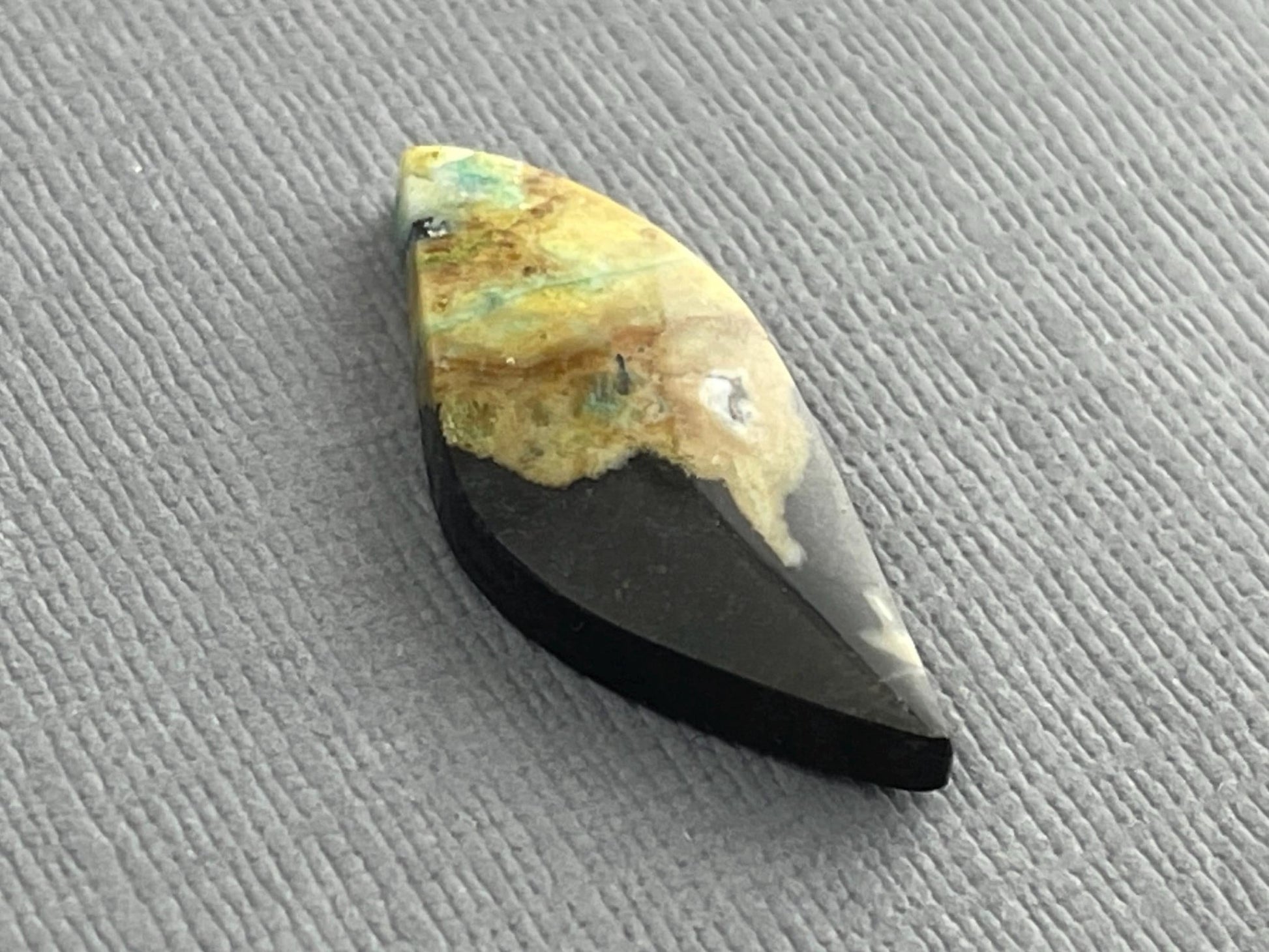 Petrified Wood Opal | Natural Opalized Fossil Cabochon | WO239 - Gem Enthusiast