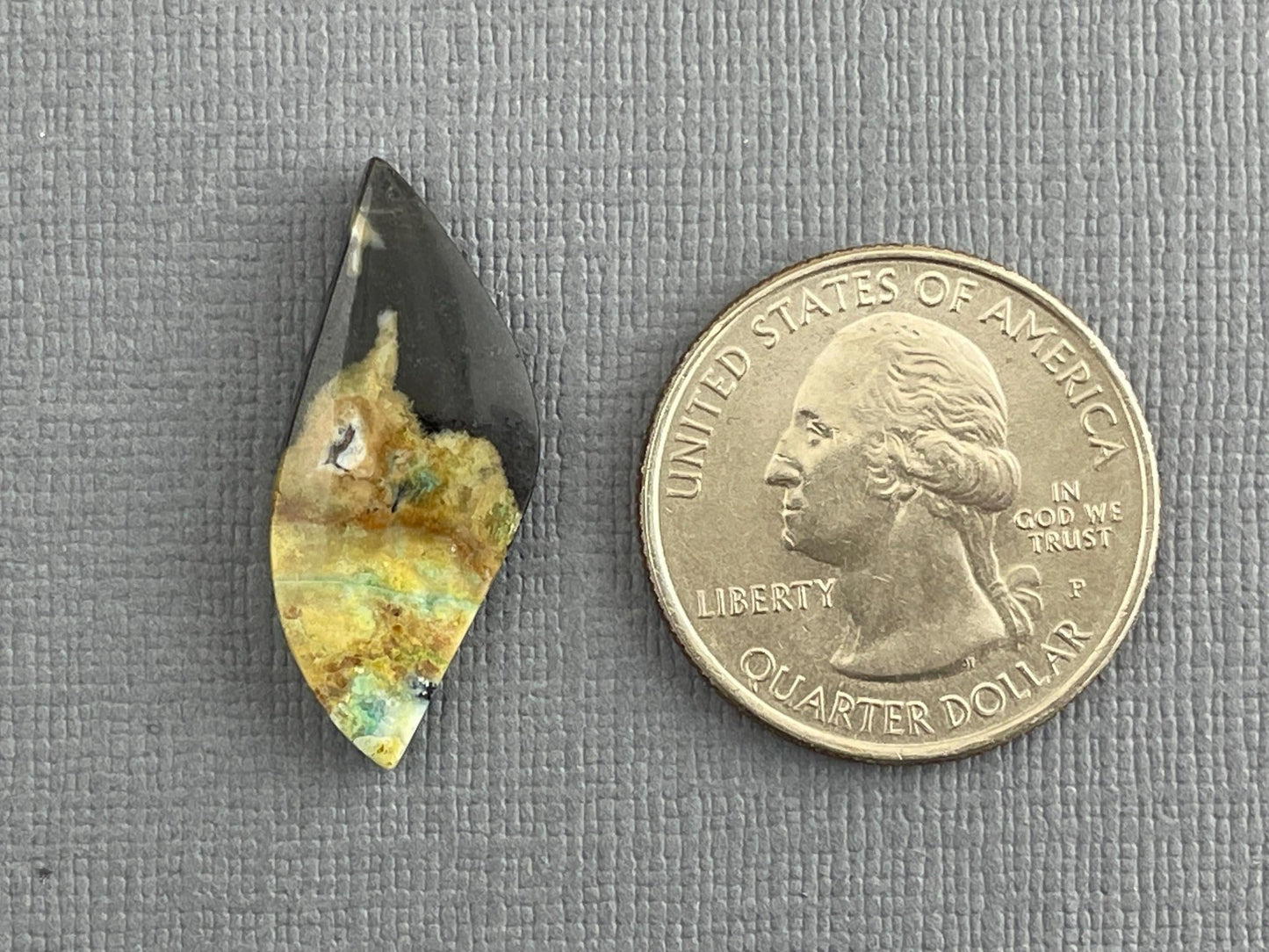 Petrified Wood Opal | Natural Opalized Fossil Cabochon | WO239 - Gem Enthusiast