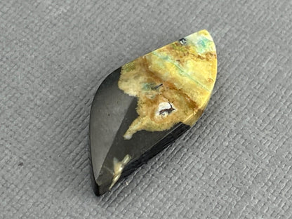 Petrified Wood Opal | Natural Opalized Fossil Cabochon | WO239 - Gem Enthusiast