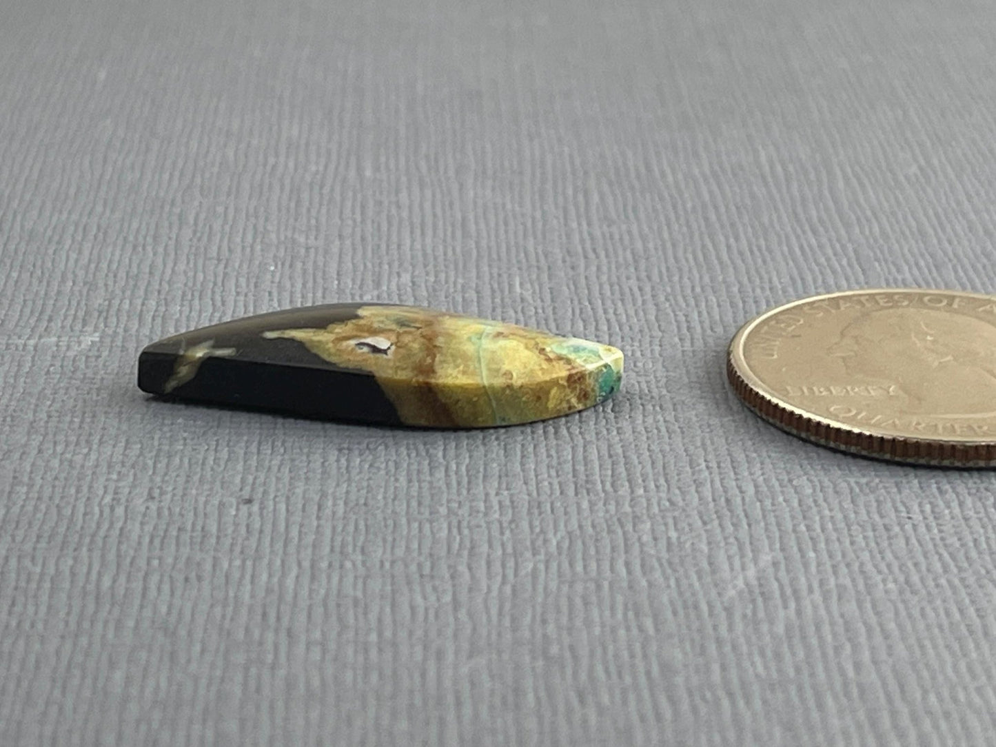 Petrified Wood Opal | Natural Opalized Fossil Cabochon | WO239 - Gem Enthusiast