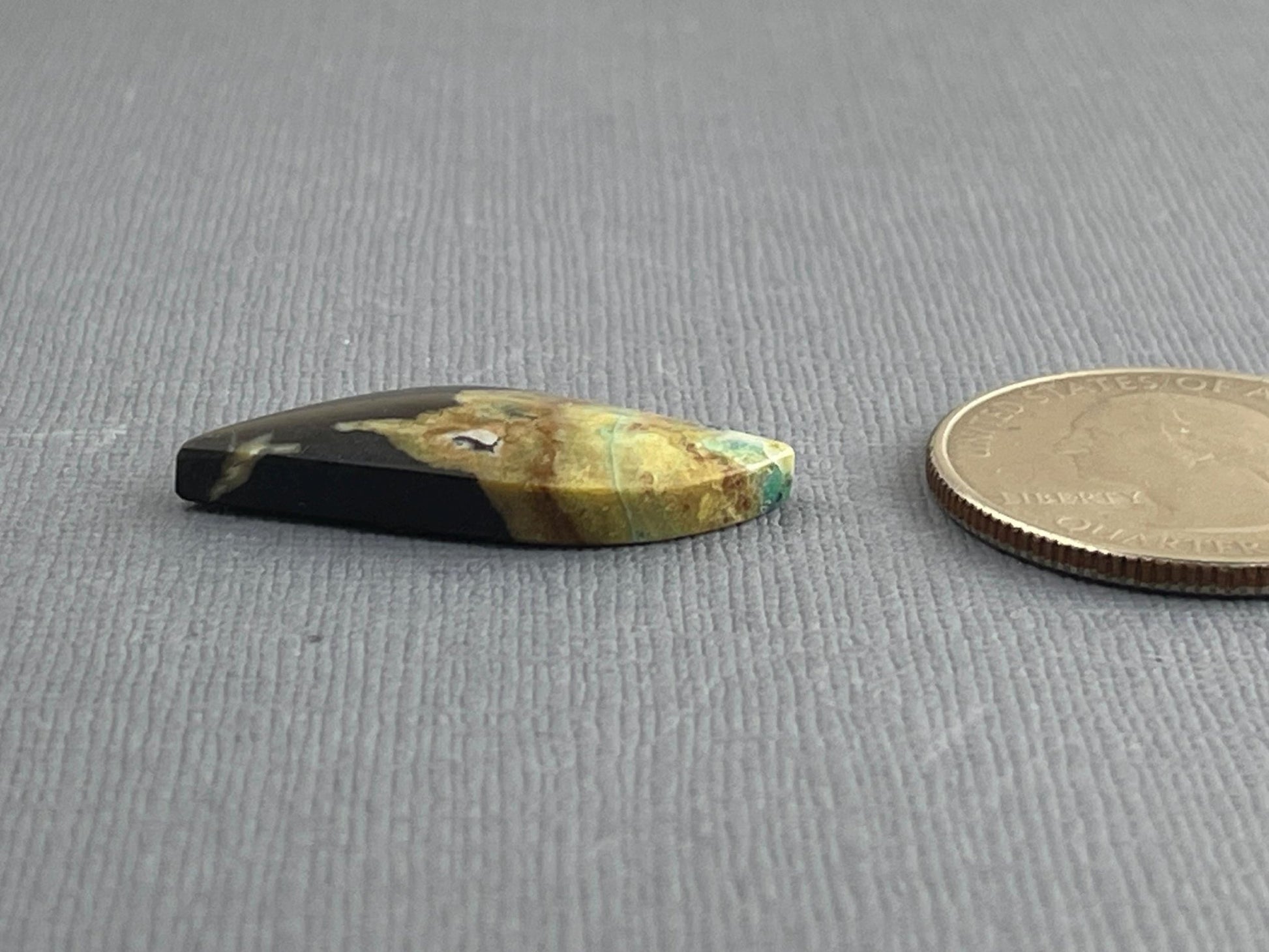 Petrified Wood Opal | Natural Opalized Fossil Cabochon | WO239 - Gem Enthusiast