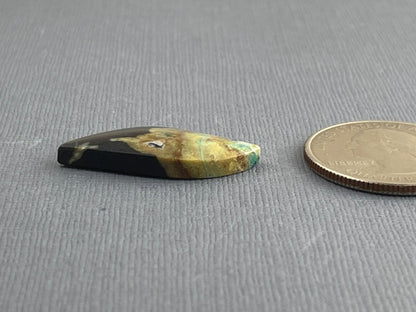 Petrified Wood Opal | Natural Opalized Fossil Cabochon | WO239 - Gem Enthusiast