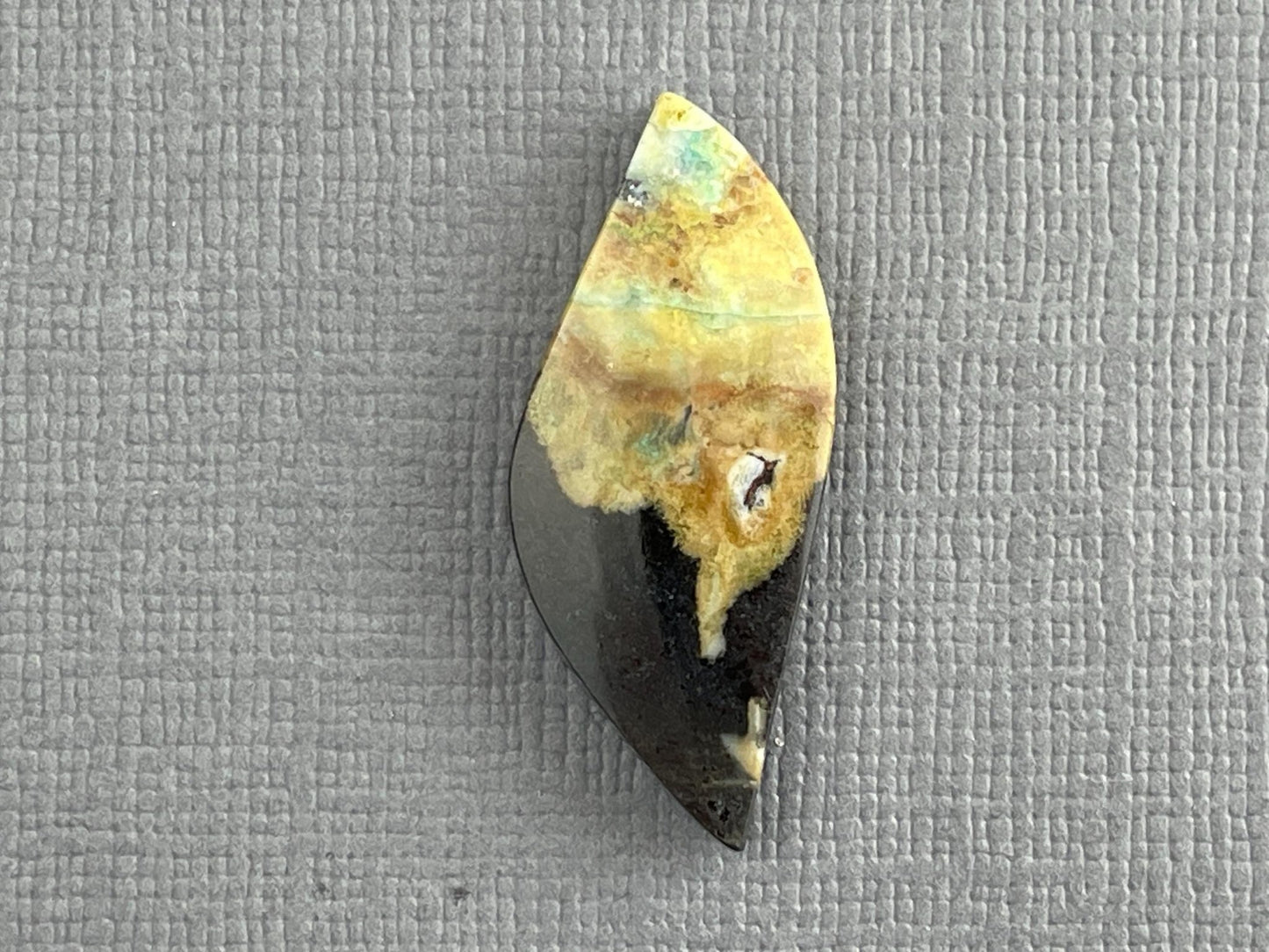 Petrified Wood Opal | Natural Opalized Fossil Cabochon | WO239 - Gem Enthusiast