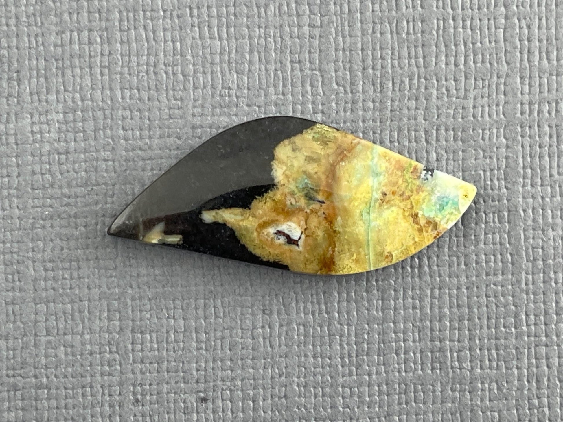 Petrified Wood Opal | Natural Opalized Fossil Cabochon | WO239 - Gem Enthusiast