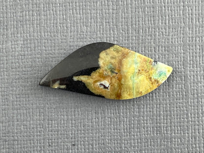 Petrified Wood Opal | Natural Opalized Fossil Cabochon | WO239 - Gem Enthusiast