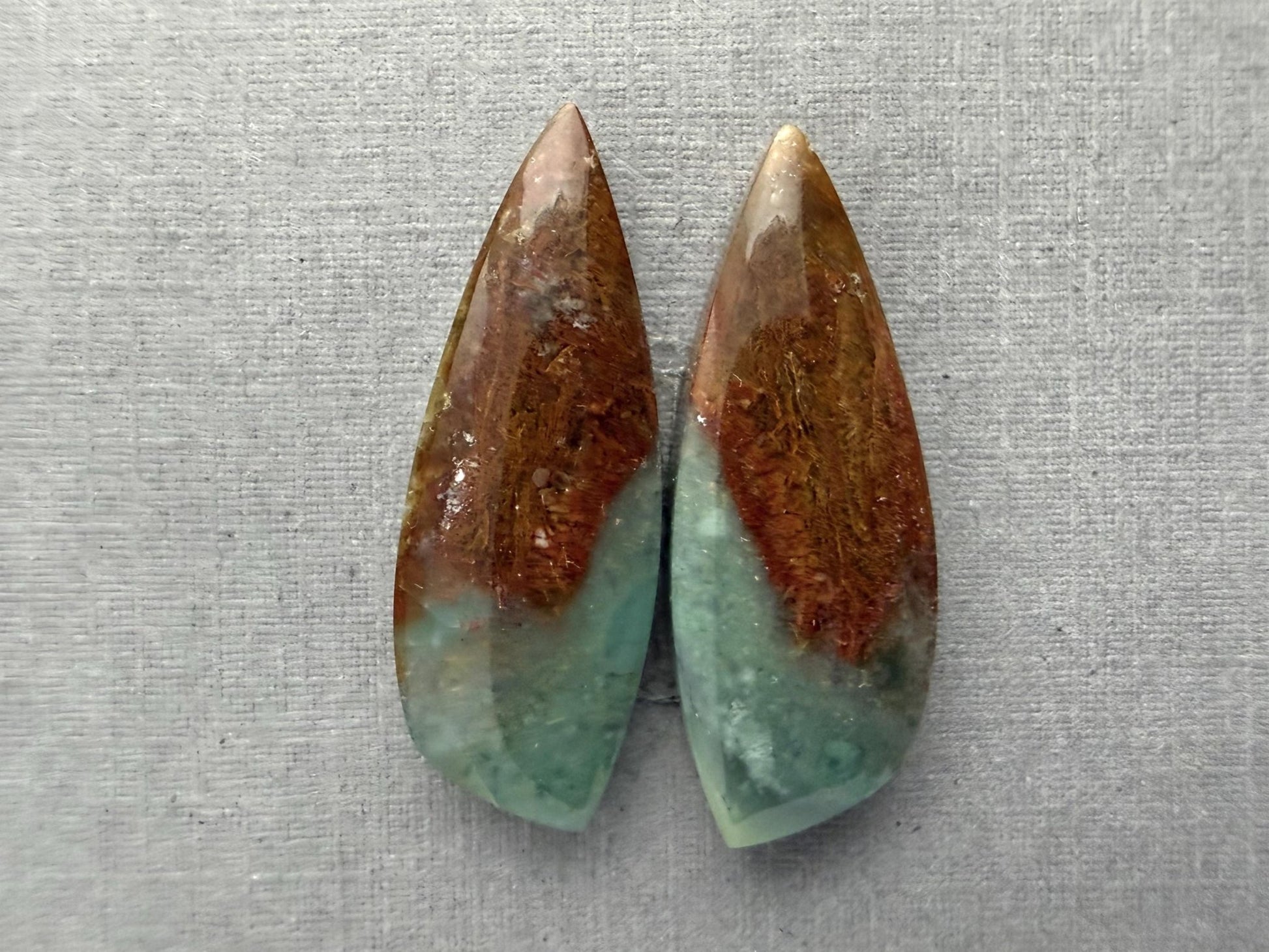 Petrified Wood Opal Pair | Natural Indonesia Cabochons | WO243 - Gem Enthusiast
