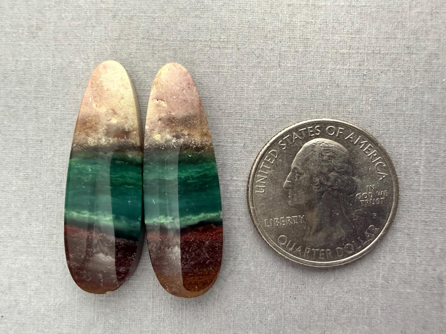 Petrified Wood Opal Pair | Natural Oval Cabochons | WO248 - Gem Enthusiast
