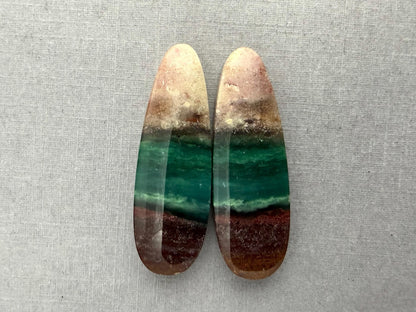 Petrified Wood Opal Pair | Natural Oval Cabochons | WO248 - Gem Enthusiast