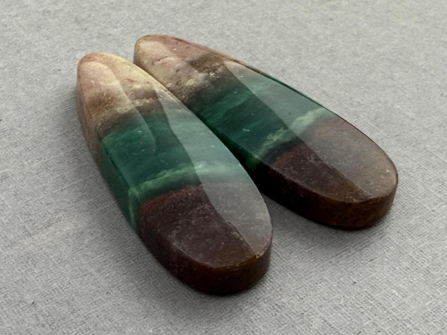 Petrified Wood Opal Pair | Natural Oval Cabochons | WO248 - Gem Enthusiast