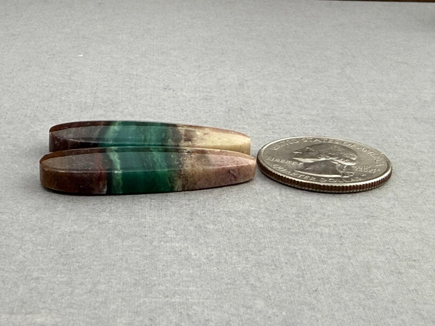 Petrified Wood Opal Pair | Natural Oval Cabochons | WO248 - Gem Enthusiast