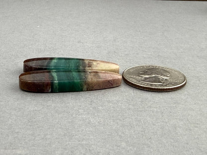 Petrified Wood Opal Pair | Natural Oval Cabochons | WO248 - Gem Enthusiast