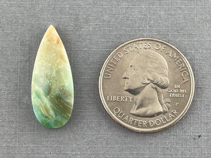 Petrified Wood Opal Pear | Natural Opalized Fossil Cabochon | WO226 - Gem Enthusiast