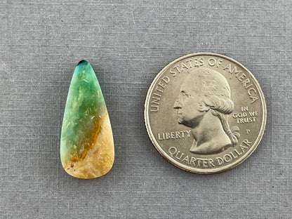 Petrified Wood Opal Pear | Natural Opalized Fossil Cabochon | WO227 - Gem Enthusiast