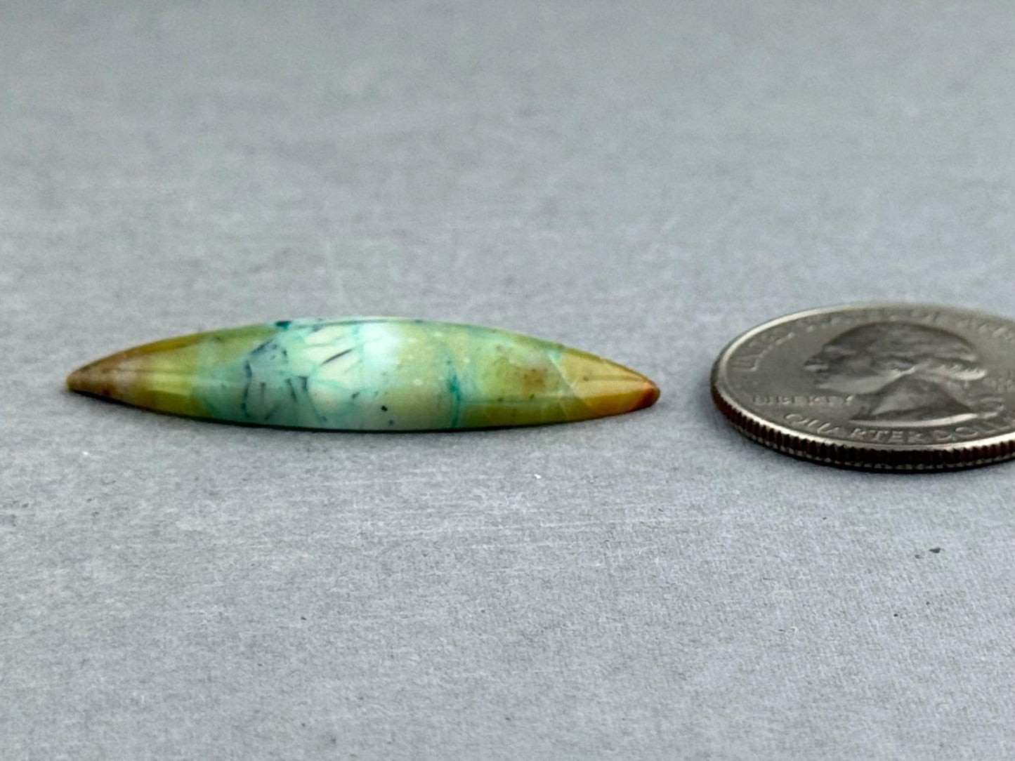 Petrified Wood Opal Pear | Natural Opalized Fossil Cabochon | WO240 - Gem Enthusiast