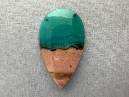 Petrified Wood Opal Pear | Natural Opalized Fossil Cabochon | WO245 - Gem Enthusiast