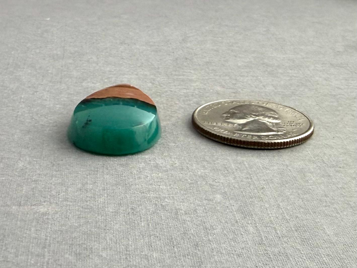 Petrified Wood Opal Pear | Natural Opalized Fossil Cabochon | WO245 - Gem Enthusiast