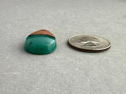 Petrified Wood Opal Pear | Natural Opalized Fossil Cabochon | WO245 - Gem Enthusiast