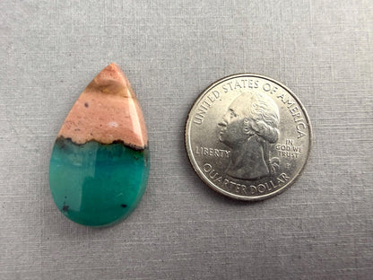 Petrified Wood Opal Pear | Natural Opalized Fossil Cabochon | WO245 - Gem Enthusiast