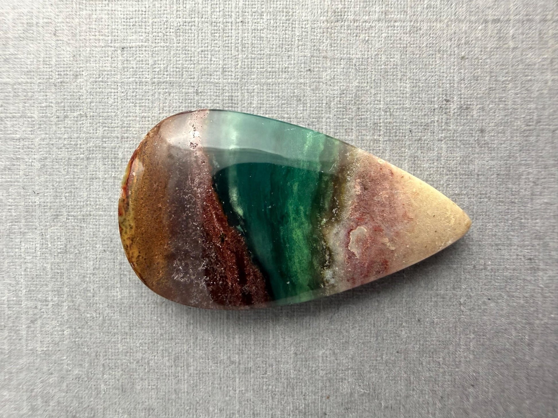 Petrified Wood Opal Pear | Natural Opalized Fossil Cabochon | WO246 - Gem Enthusiast