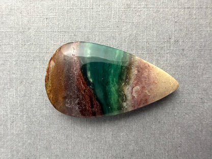 Petrified Wood Opal Pear | Natural Opalized Fossil Cabochon | WO246 - Gem Enthusiast