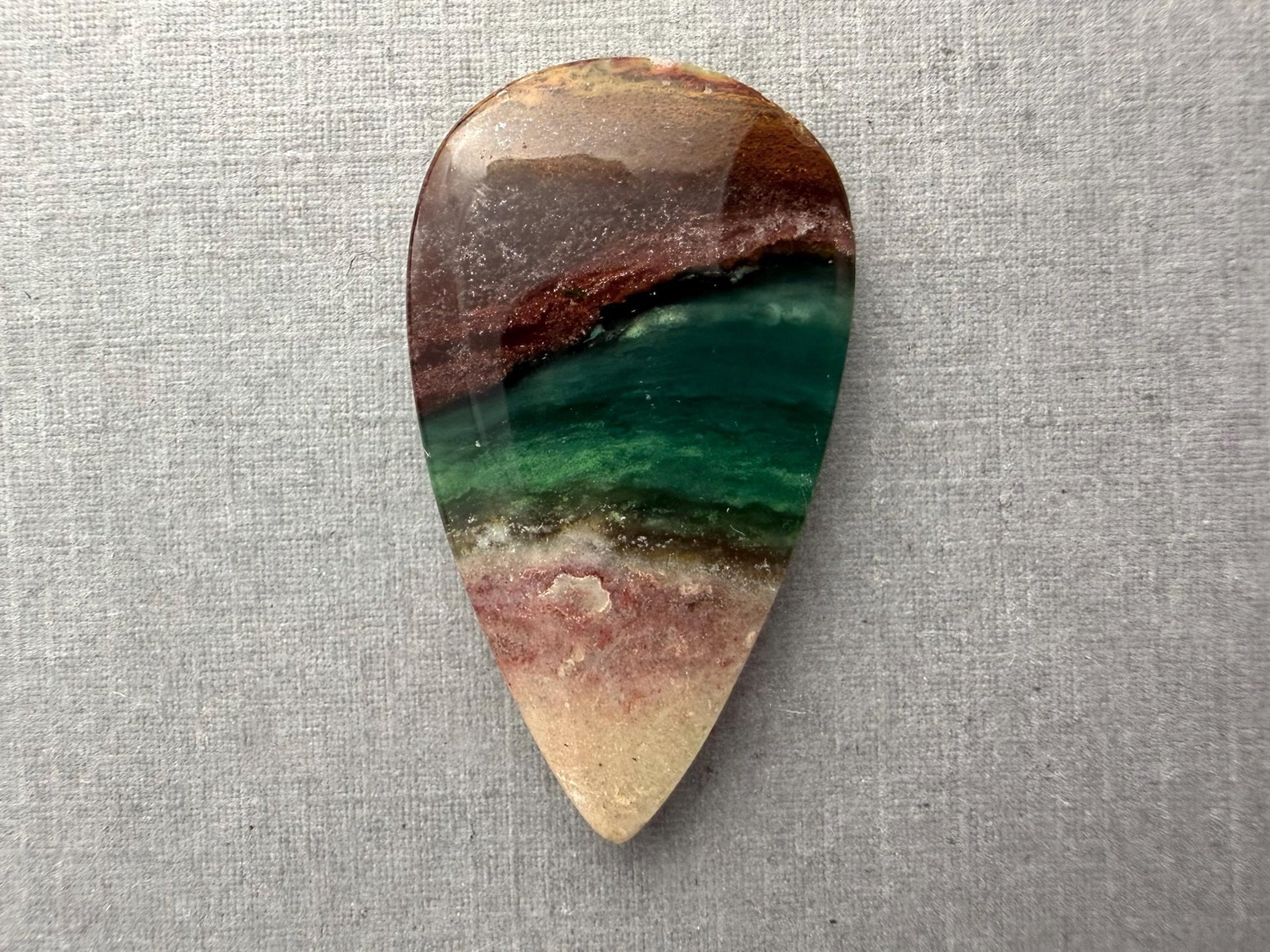 Petrified Wood Opal Pear | Natural Opalized Fossil Cabochon | WO246 - Gem Enthusiast
