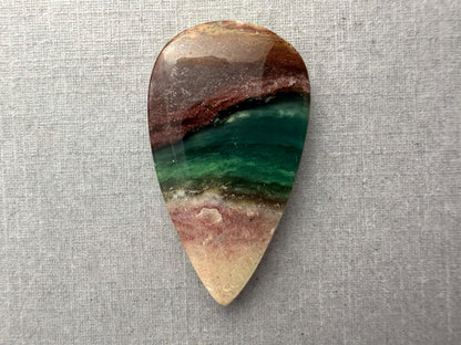 Petrified Wood Opal Pear | Natural Opalized Fossil Cabochon | WO246 - Gem Enthusiast