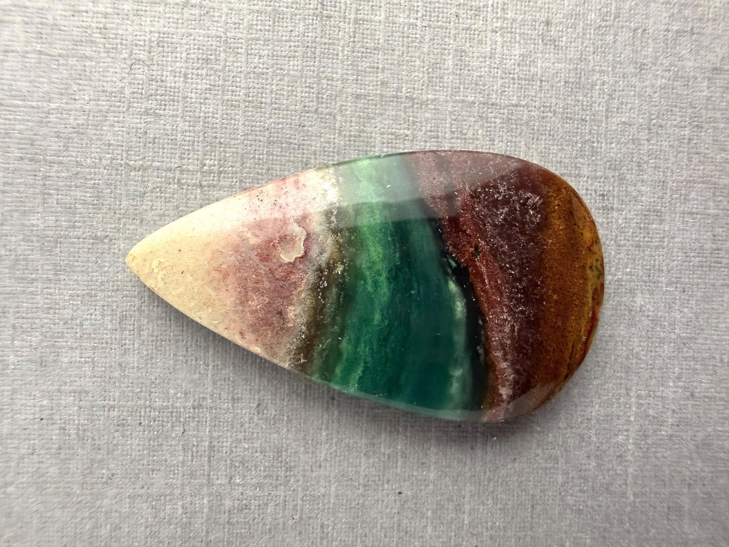 Petrified Wood Opal Pear | Natural Opalized Fossil Cabochon | WO246 - Gem Enthusiast