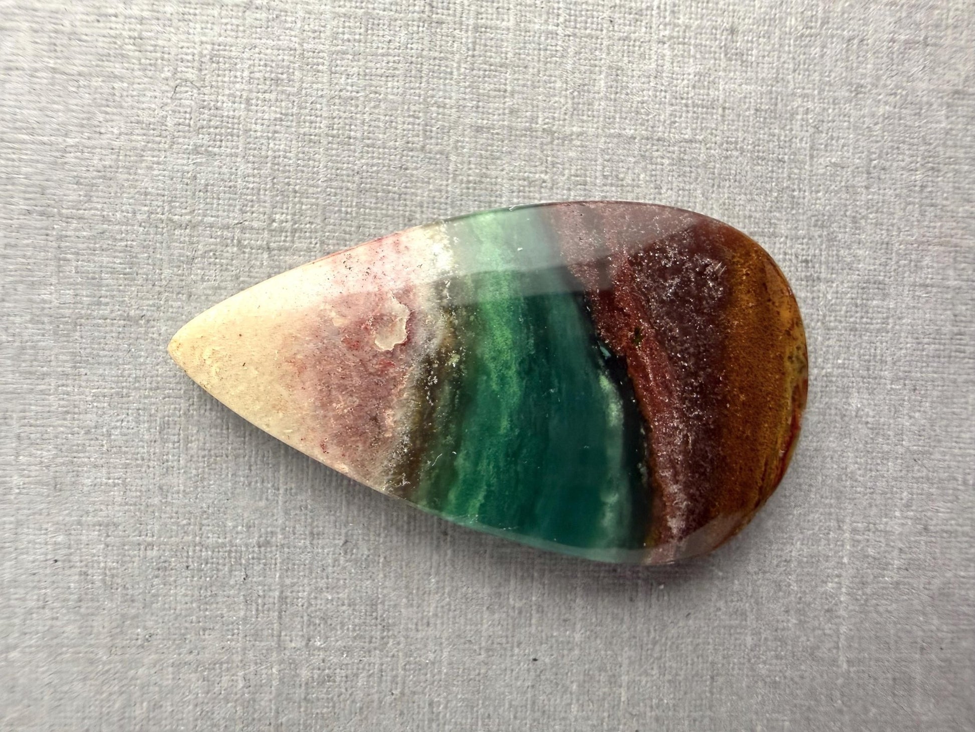 Petrified Wood Opal Pear | Natural Opalized Fossil Cabochon | WO246 - Gem Enthusiast