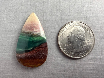 Petrified Wood Opal Pear | Natural Opalized Fossil Cabochon | WO246 - Gem Enthusiast